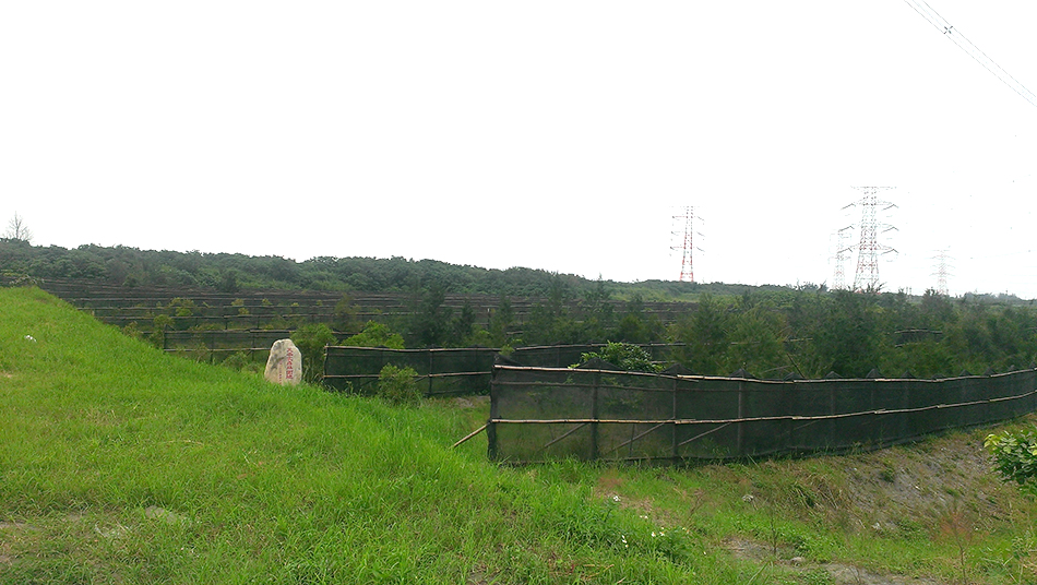 2012年 圓夢計畫 活動照片02